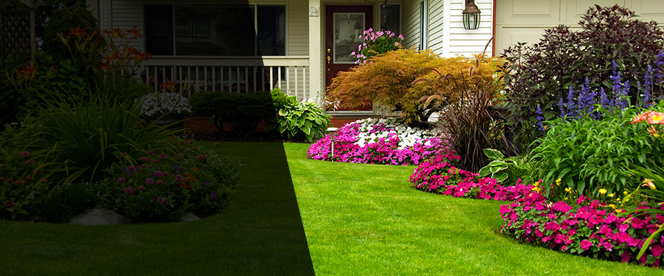 Holland Landscapers