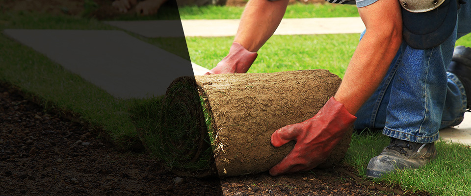 Holland Landscapers
